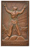 1948. "A legnehezebb időben végzett jó munkáért 1945-1948" Br plakett (84x54mm) T:2,2- ph.