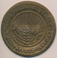 Tóth Sándor (1933-) 1981. "Egyesült Erő Mgtsz Kemecse-Kótaj" egyoldalas Br érem (89mm) T:2