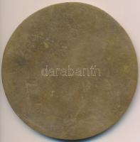 Tóth Sándor (1933-) 1981. "Egyesült Erő Mgtsz Kemecse-Kótaj" egyoldalas Br érem (89mm) T:2