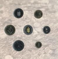 2008. 1Ft-100Ft 7xklf darabos forgalmi sor "Búcsú az egy- és kétforintostól" dísztokos szettben T:BU