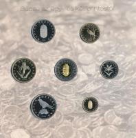 2008. 1Ft-100Ft 7xklf darabos forgalmi sor "Búcsú az egy- és kétforintostól" dísztokos szettben T:PP