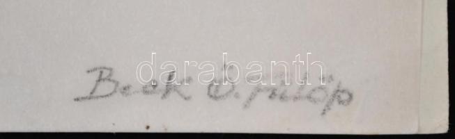 Vedres ill., Beck jelzéssel: Női aktok, grafikák, papír, 2db, 24x14cm, 26x20cm