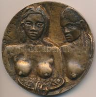 Farkas István Béla (1915-2005) DN "Gauguin" Br emlékplakett (85mm) T:2