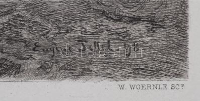 W. Woernle (?-?) Der Ganseteich, rézmetszet, ducon jelzett, 20x28cm