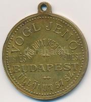 1896. "Milleniumi Emlék / Vogl Jenő Úri és Női Divat Kereskedése" Cu medál (27mm) T:2