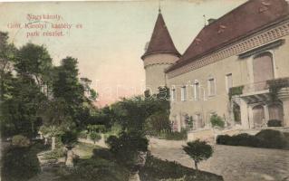 Nagykároly, Carei; Károlyi-kastély és park; Csókás László kiadása / castle