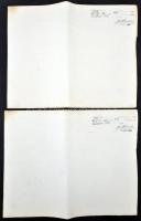 Budapest 1927. "Pesti Hazai Első Takarékpénztár-Egyesület" részvénye 100P-ről szelvényekke...