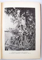 Cholnoky Jenő: Afrika. I-II. kötet. 102 képmelléklettel és 4 térképpel. A Magyar Földrajzi Társaság ...