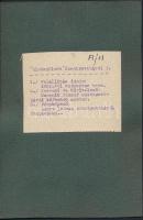cca 1925-30 I. világháborús emlék Alsó Szölnők, fotó kartonra kasírozva, verzón részletes információ...