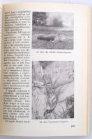 Vadgazdálkodási és vadászati alapismeretek. Írták: Bencze Lajos, Bertóti István, Csöre Pál, Görcsös ...