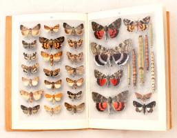 Komárek, Julius; Tykač, Jaroslav: Atlas motýlů. Prága, 1952, Melantrich. Színes illusztrációkkal. Ki...