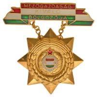 ~1970-1980. "Mezőgazdaság Kiváló Dolgozója" zománcozott, aranyozott fém kitüntetés eredeti tokban T:2