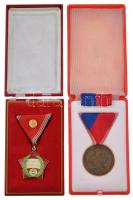 1964. "Munkásőr" Br kitüntetés mellszalagon szalagsávval tokban + 1986. "Kiváló Munkáért" zománcozott fém jelvény egészségügyi dolgozóknak járó miniatűrrel, mellszalagon, sérült tokban T:1,1-