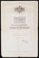 1915 Magyar katona tartalékos hadnagyi kinevezése. Hadügyminisztériumi szárazpecséttel / Appointing warrant for leutnant