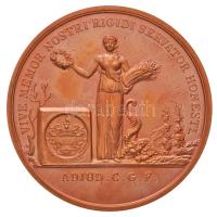 1996. "Alpok-Adria Filatélia '96 Keszthely" kiállítási Br emlékérem (65mm) T:2