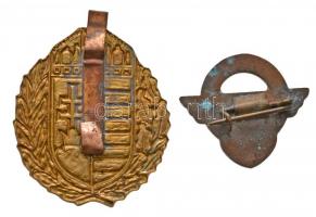 2db-os jelvény tétel: DN "Címer" aranyozott, zománcozott jelvény (33x27,5mm) + "BKV t...