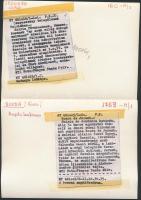 cca 1970 Szíria, Aleppo, Haleb 11 db MTI sajtófotó / Syria Press photos 16x12 cm