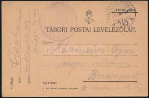 1917 Tábori posta levelezőlap Getreide... I. der k.u.k. Landwirtschaftlichen Gruppe Oblt. von CSIKI + HP 249 A