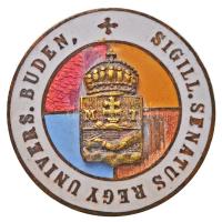 ~1910-1920. "SIGILL. SENATUS REGY UNIVERS. BUDEN" az ELTE korabeli zománcozott fém jelvénye, "Morzsányi Budapest Eskü út 5." gyártói jelzéssel (22mm) T:2- zománchiba
