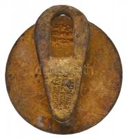 ~1910-1920. "SIGILL. SENATUS REGY UNIVERS. BUDEN" az ELTE korabeli zománcozott fém jelvény...