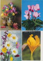 200 db MODERN virág motívumlap albumban / 200 modern flower motive cards in album