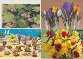 200 db MODERN virág motívumlap albumban / 200 modern flower motive cards in album