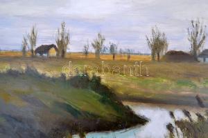 Somogyi Imre (1918-1999): Alföldi táj. Olaj, farost, jelzett, keretben, 40×65 cm