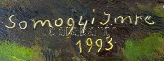 Somogyi Imre (1918-1999): Alföldi táj. Olaj, farost, jelzett, keretben, 40×65 cm