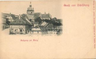 Segesvár, Schässburg;  feljárat a várhoz, Taschler P. üzlete. Aufgang zur Burg, Verlag von Zeidner / castle hill (ázott / wet damage)