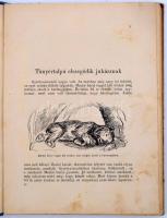 Gergely Márta Zebulonból mackó lesz. Mackó bácsi legújabb utazása. Elmeséli --. Emánuel Béla rajzaiv...