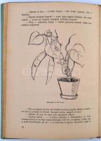 Török Sándor Kököjszi és Bobojsza újabb kalandozásai. Egészen kicsi Gyerekeknek és egészen nagy Feln...