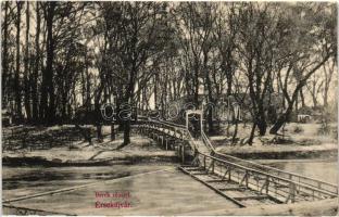 Érsekújvár, Nové Zámky; Berek részlet, fahíd, kiadja Conlegner J. és fia / river detail, wooden bridge