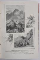 1920-25 Turisták Lapja Folyóirat. A turistaság és honismeret terjesztése. Szerkesztette: Déry József...