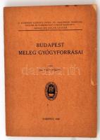 Papp Ferenc: Budapest meleg gyógyforrásai. Bp., 1942, 252 p., (A Rudas gyógyfürdő forrásainak helyszínrajza, kihajtható). 80 szövegközti képpel és ábrával.