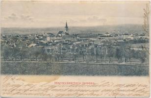 Marosvásárhely, Targu Mures; látkép / general view (Rb)