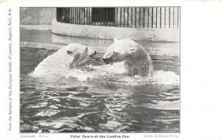 London, Gardens of the Zoological Society, animals - 4 old postcards