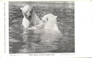 London, Gardens of the Zoological Society, animals - 4 old postcards
