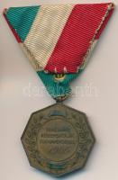 1906. "Temesvári Középiskolák Tornaversenye" Br díjérem mellszalaggal (30,5mm) T:2