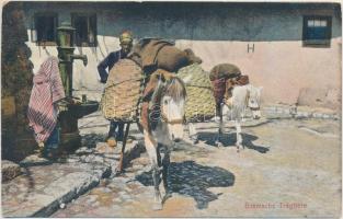 Bosnian folklore with pack animals, donkey (EB)