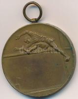 DN "Róna Sportintézet Budapest-Siófok" Br díjérem füllel, "PINT" gyártói jelzéss...