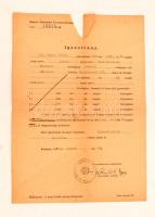 1949 Magyar Áttelepítési Kormánybiztosság igazolvány áttelepítésről, illetve állampolgárságra való jogosultságról.