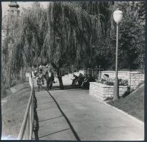 cca 1970 Budapest, A Feneketlen-tó, 10 db városképes fotó, 18x18 cm