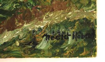 Nádler jelzéssel: Világítótorony. Olaj, karton, 75×55 cm