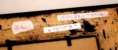 Végvári Tamás (1962-): Csiga. Olaj, műanyaglemez, jelzett, üvegezett keretben, 36×36 cm