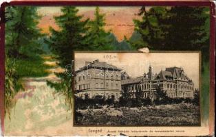 Szeged, Állami felsőbb leány iskola és kereskedelmi iskola, erdő litho (b)