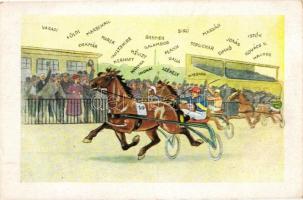 Fogathajtó verseny / Horse carriage driving race