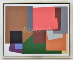 Dévényi János (1956- ): Elmozdulások. Akril, vászon, jelzett,  keretben, 40×50 cm