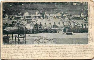 1899 Pozsony, Bratislava; Nyári színház, a nézőtér a színpadról nézve / Summer theater, view of the auditorium from the stage (fa)