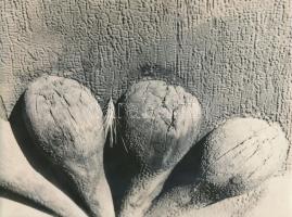 cca 1965 Vitányi Zsuzsa: Kapudísz, feliratozott vintage fotóművészeti alkotás, 18x24 cm