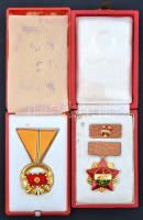 ~1960-1970. "A Haza Szolgálatáért" arany fokozat, aranyozott fém kitüntetés mellszalagon, eredeti tokban + "Szakszervezetek Országos Tanácsa" arany fokozatú kitüntetések mellszalaggal, szalagsávon miniatűrrel, eredeti dísztokban T:1-2